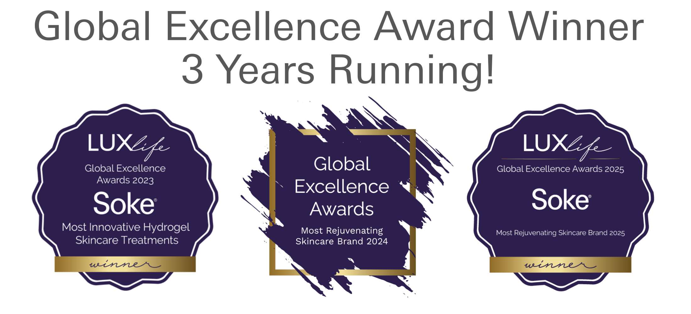 Global excellence award winner